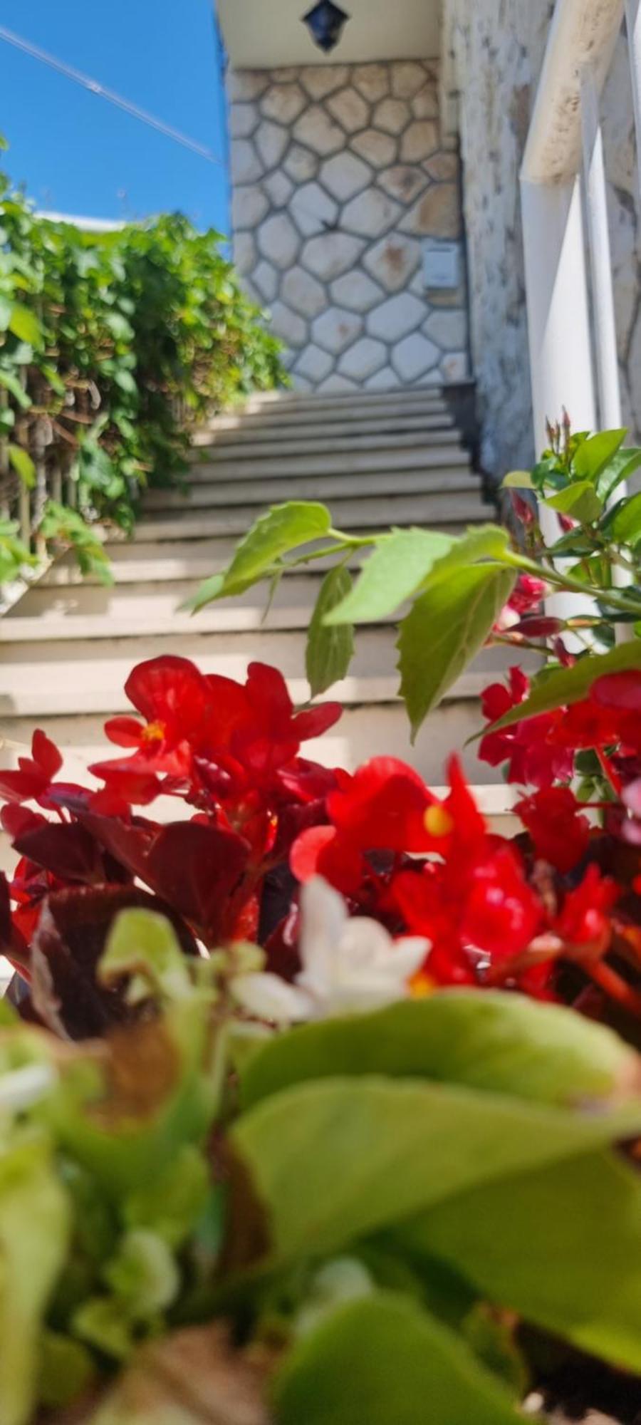 Apartment Lea Bayview Dubrovnik Kültér fotó