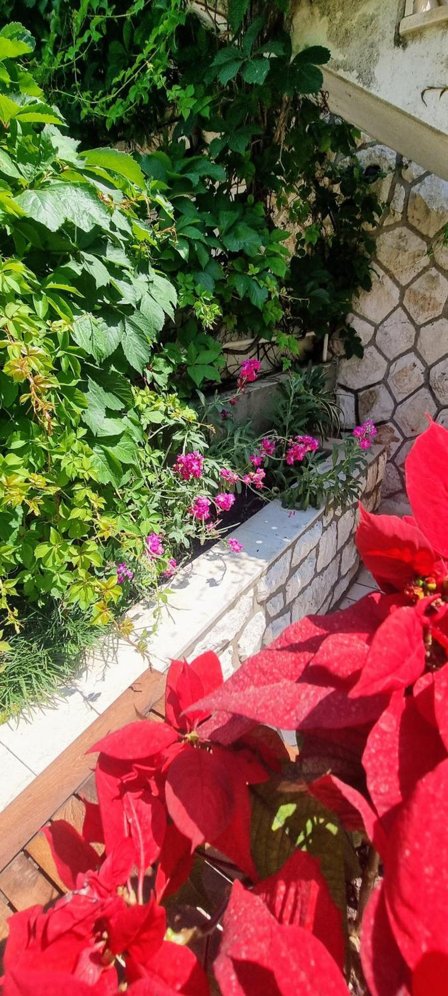 Apartment Lea Bayview Dubrovnik Kültér fotó